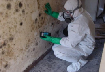mold and lead