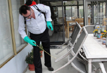 pest extermination